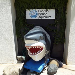 Great White Shark Statue