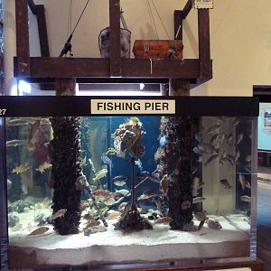Fishing Pier Exhibit