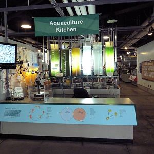 Aquaculture Kitchen