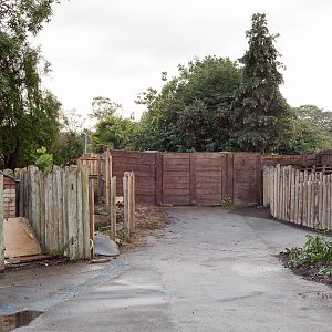 Giant Otter Development - 16/08/2011