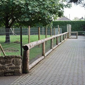 Giant Anteater Paddock - 16/08/2011
