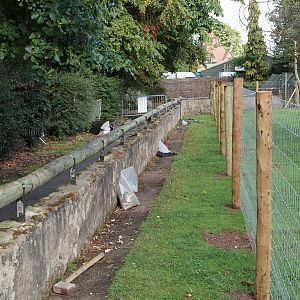 Giant Anteater Paddock - 16/08/2011