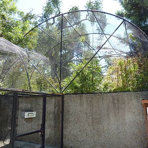 Walk-Through Aviary