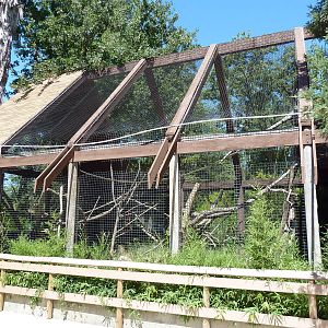 Ring-Tailed/Red Ruffed Lemur Exhibit