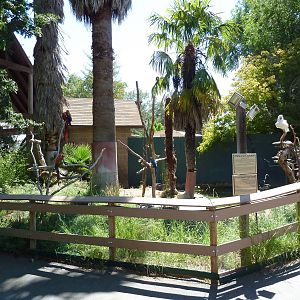 Parrot Perches (5 Species)