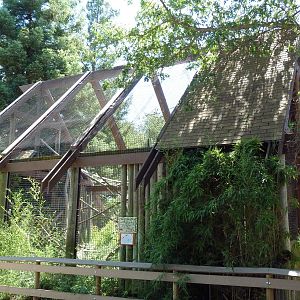 Ring-Tailed/Red Ruffed Lemur Exhibit
