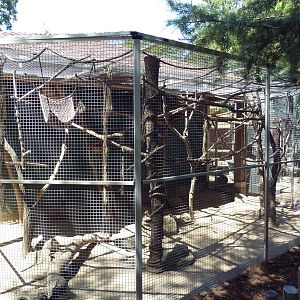 Two-Toed Sloth/Titi Monkey Exhibit