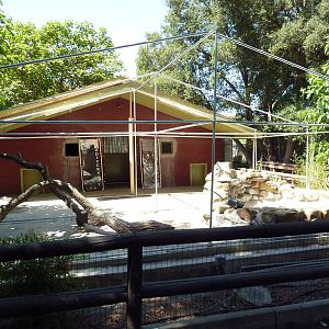 Future Red Panda Exhibit