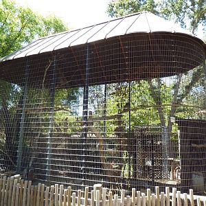 Great Horned Owl Exhibit