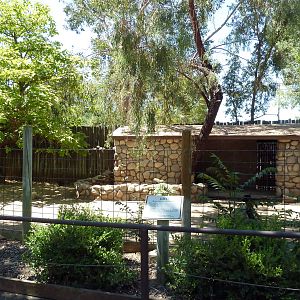 Bennett's Wallaby/Emu Exhibit
