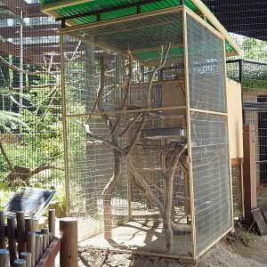Prehensile-Tailed Porcupine Exhibit