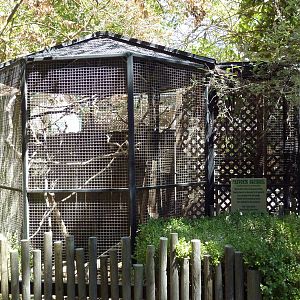 Prevost's Squirrel Exhibit
