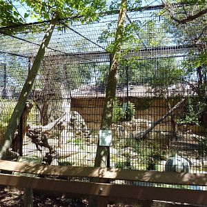 Malayan Tiger Exhibit