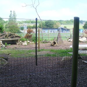 Giant anteater enclosure divided into two halves at Marwell Wildlife, 26 Ju