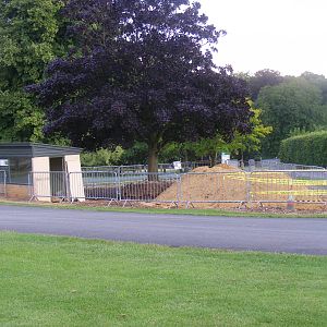 Old meerkat enclosure at Marwell Wildlife, 8 July 2011