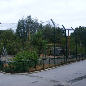 Wader aviary at Blackpool Zoo, 13 June 2011