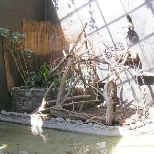 Pygmy marmoset enclosure at Lakeland Wildlife Oasis, 14 June 2011