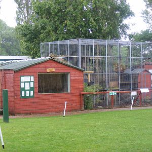 Stump-tailed macaque enclosure at Gentleshaw Wildlife Centre, 18 June 2011