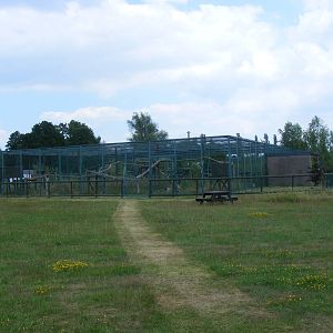 North Chinese leopard enclosure at WHF, 3 July 2011