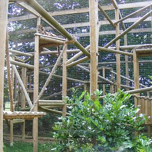 Clouded leopard enclosure at WHF, 3 July 2011