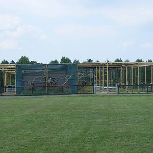 Amur leopard enclosures at WHF, 3 July 2011
