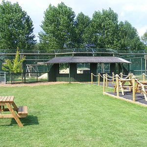 Puma enclosure at WHF, 3 July 2011