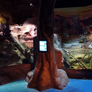 Freshwater Streams + Lakes