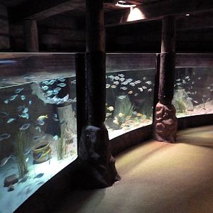 Harbor Exhibit