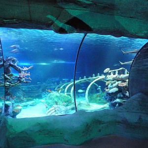 Ocean View Exhibit
