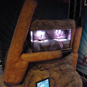 Claws - Nephrops Lobster Exhibit