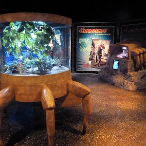 Claws - Coconut Crab Exhibit