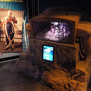 Claws - Land Crabs Exhibit