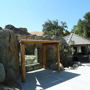 Cats Of California Complex