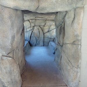 Cats Of California Complex - Viewing Tunnel