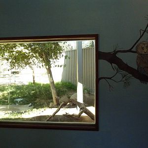 Bird Of Prey Viewing Window