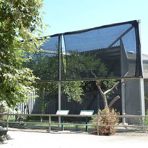 Cooper's Hawk/Barn Owl/Long-Eared Owl Exhibit