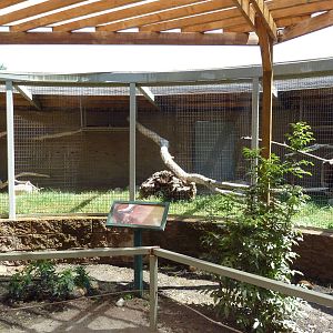 Coati Exhibit