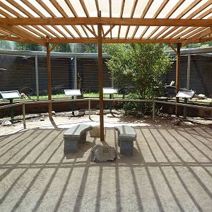 Round-House Exhibits (5 Species)