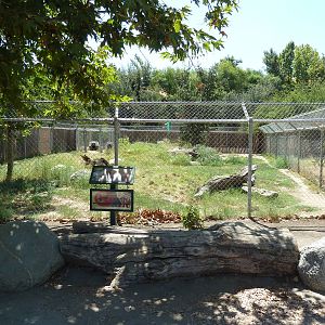 Coyote Exhibit
