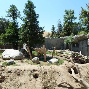 Black Bear/Red Fox Exhibit