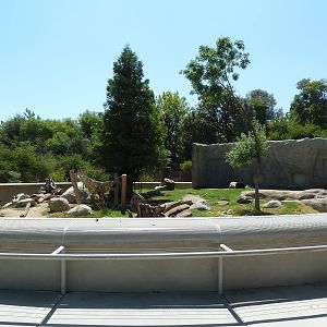 Black Bear/Red Fox Exhibit