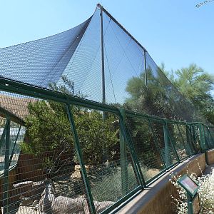 Desert Habitat (4 Species)