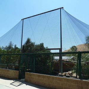 Desert Habitat (4 Species)