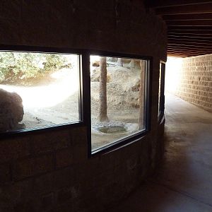 Desert Habitat (4 Species)