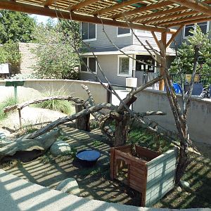 North American Porcupine Exhibit