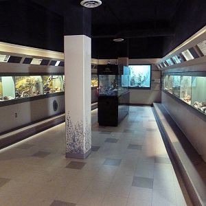 Reptile House - Hallway #1