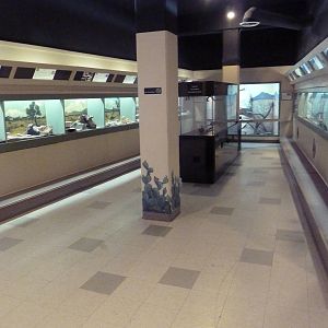 Reptile House - Hallway #2