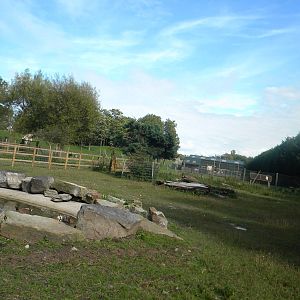 Farm paddock at Blackpool Zoo 07/08/11