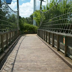 Tiger Viewing Bridge