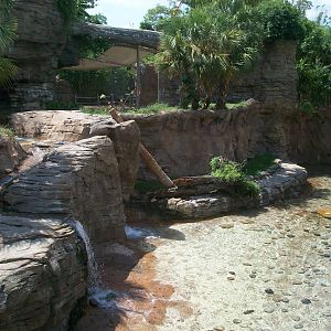 Tiger Exhibit